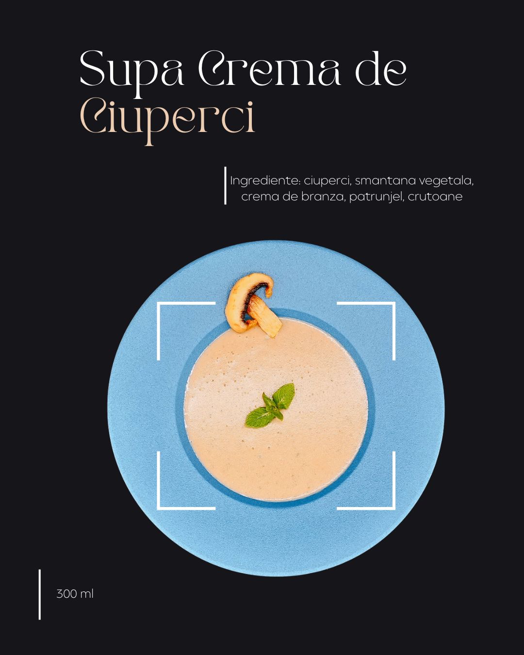 Supa Crema de Ciuperci