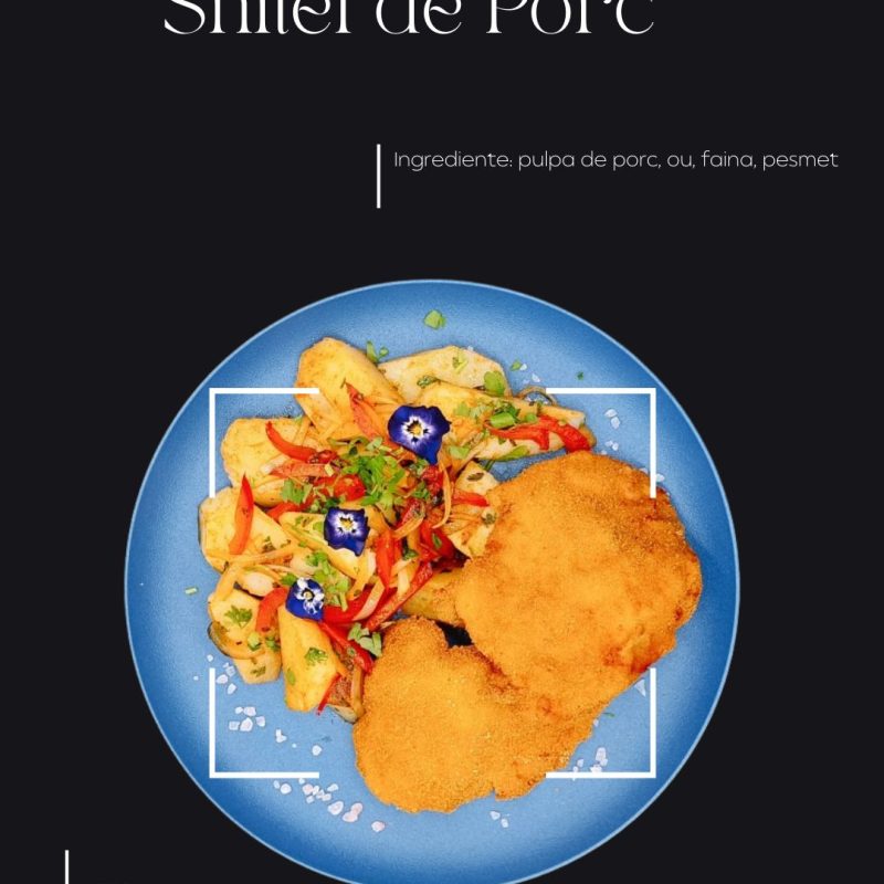 Snitel de Porc