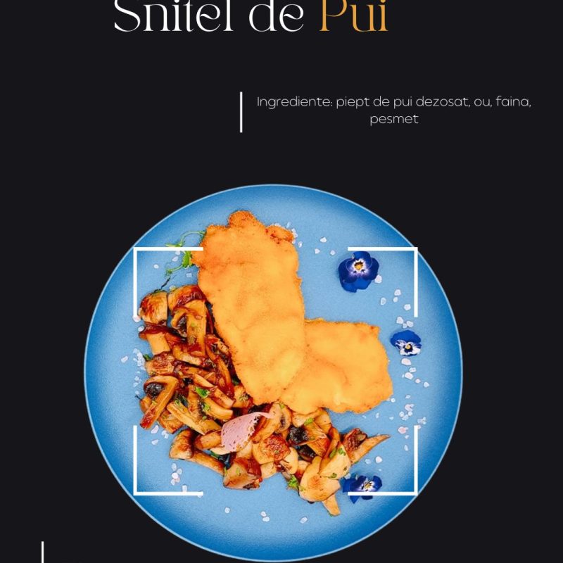 Snitel de Pui