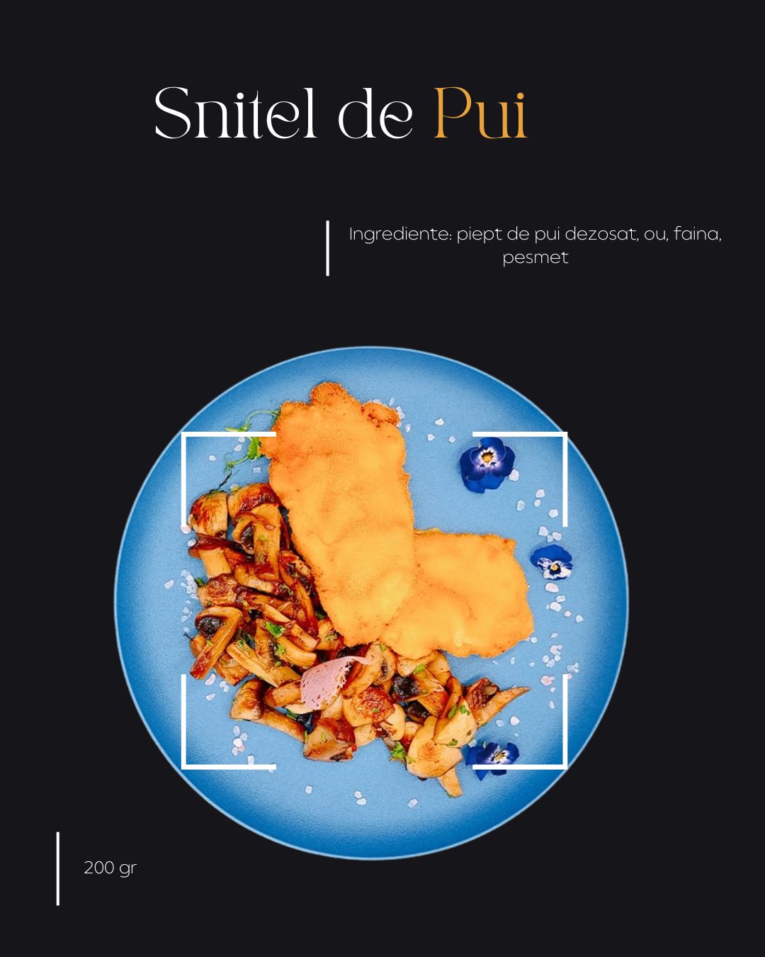 Snitel de Pui