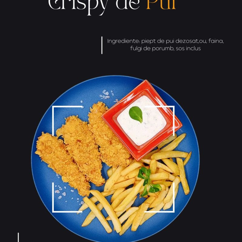 Crispy de Pui